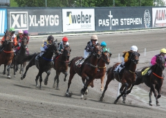 Montéeliten på söndag. Foto; A.Lindblom/Travkompaniet